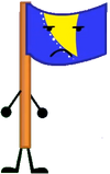 Bosnia Flag