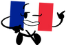 France Flag (Leader)