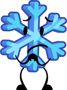 SS 8 Snowflake