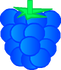 WOW Blue Raspberry Asset 2