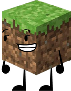 Minecraft Dirt pose