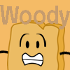 Woody's Pro Pic