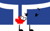 Toronto Flag