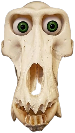 Mr. Bones | Object Shows Community | Fandom