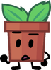 2021 Potted Plant