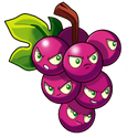 Grapeshot(PVZ2:IAT)