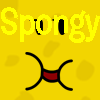 Spongy's Pro Pic