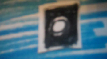 BFSP 5.png
