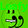 Leafy's Pro Pic