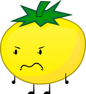 Yellow Tomato oc