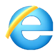 Internet Explorer (Google Images)