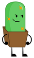 Cactus (Next Top Thingy) — throws spikes that attacks the opponents. Stabbing!