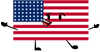 USA Flag