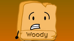 Woody's Promo Pic