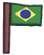 Brazil Flag Body