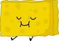 Spongy (Battle for BFDI)