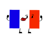 France Flag Pose