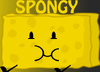 Spongy asset