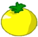 Yellow Tomato (Żółty pomidor)