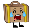 Suitcase crying