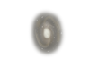 NGC 770 Galaxy