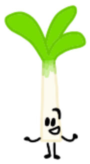 Leek