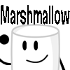 Marshmallow's Pro Pic