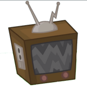 Television