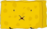 Spongy (333 Votes)