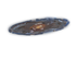 Sculptor’s Galaxy