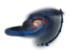 NGC 772 Galaxy