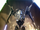 Ceaseless Assault