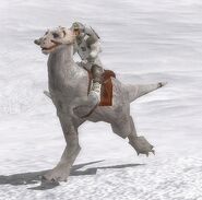 A Tauntaun and rider.