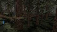 Good Free Cam View of a small portion of the map of Endor.