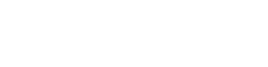 Weapons E-11D