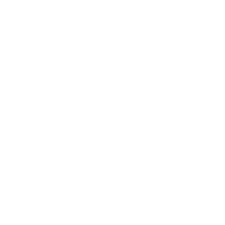 SWBFII Class Heavy Icon