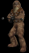 A Wookiee Warrior Ingame.