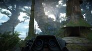 Kashyyyk-view