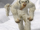 Wampa (species)