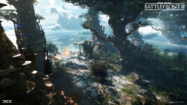Kashyyyk Beach Andrew Hamilton