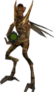 Geonosian Soldier