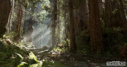 Promotional image of Forest Moon of Endor.