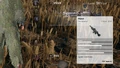 Inventory tooltip, beta version of the game.