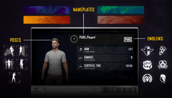 PUBG Skin Illupanati ID Card » PUBG Skin CDK/ Code