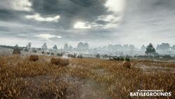 Mapa de PlayerUnknown's Battlegrounds inclui homenagem a Minas Gerais