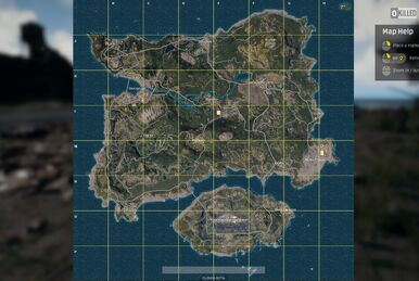 PUBGスキン Cloth Mask(Leopard) PUBG - Cloth Mask (Leopard) Gameplay | Skin-Tracker.com
