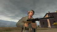 Third-person view