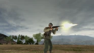 Firing