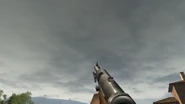 First-person view