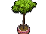 Potted Tree